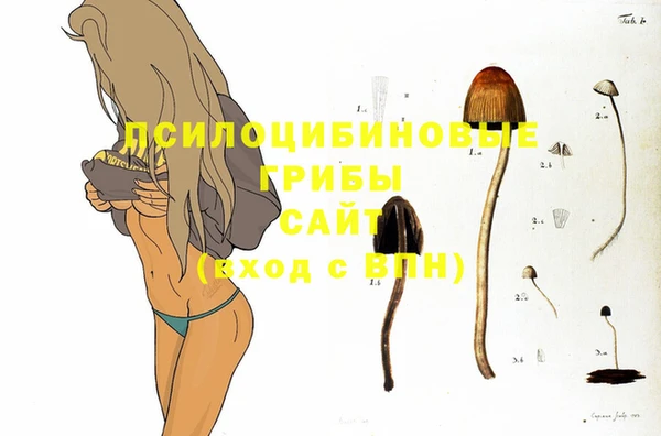 шишки Алагир