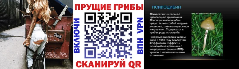 Псилоцибиновые грибы прущие грибы  Киров 